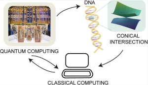 Characterizing conical intersections of nucleobases on quantum computers