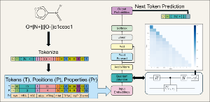 A Hybrid Transformer Architecture with a Quantized Self-Attention Mechanism Applied to Molecular Generation