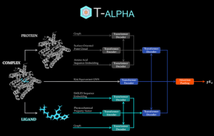 T-ALPHA: A Hierarchical Transformer-Based Deep Neural Network for Protein-Ligand Binding Affinity Prediction With Uncertainty-Aware Self-Learning for Protein-Specific Alignment