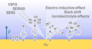 The Impact of Electric Fields on Processes at Electrode Interfaces
