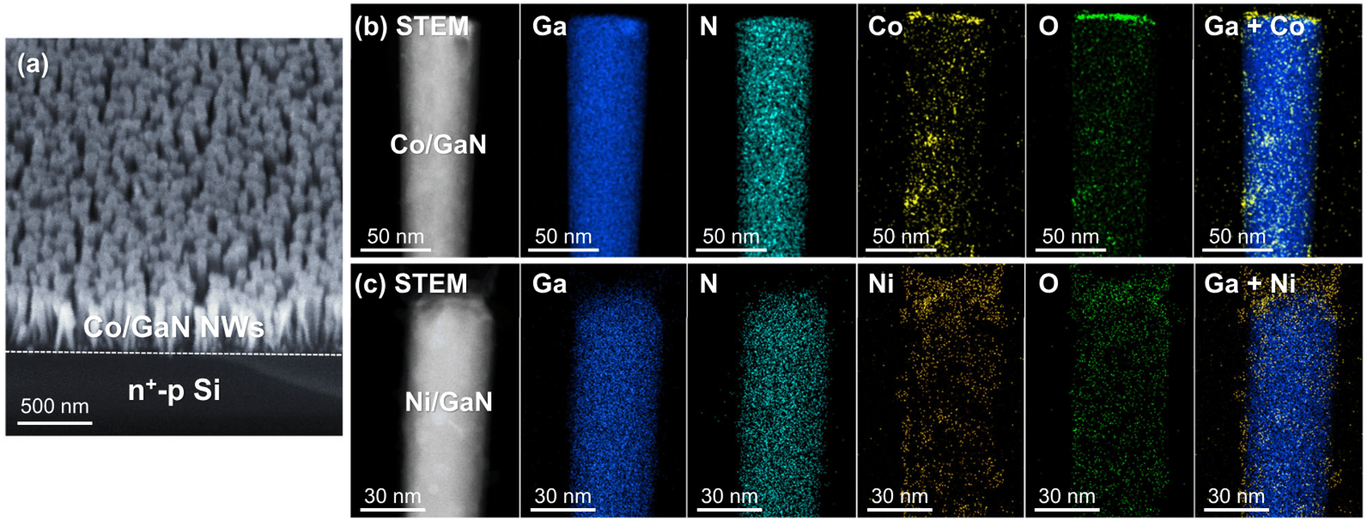 Nitrate reduction to ammonia catalyzed by GaN/Si photoelectrodes with metal clusters